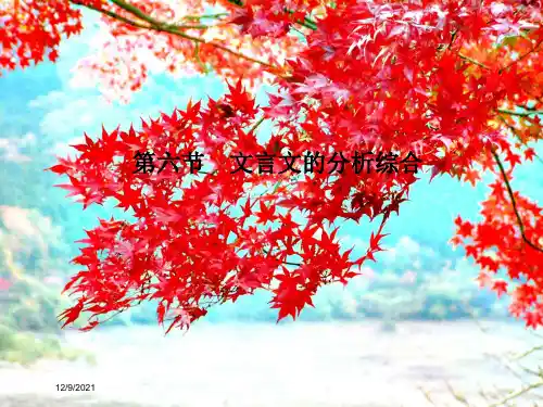 高考语文一轮总复习 第2单元 文言文阅读 第六节 文言文的分析综合课件 