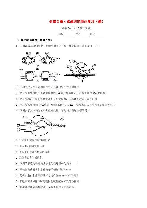 第04章 章末复习测试(测)-2016-2017学年高一生物同步精品课堂(提升版)(必修2)(原卷版)