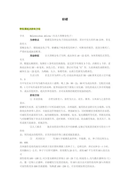 蛴螬
