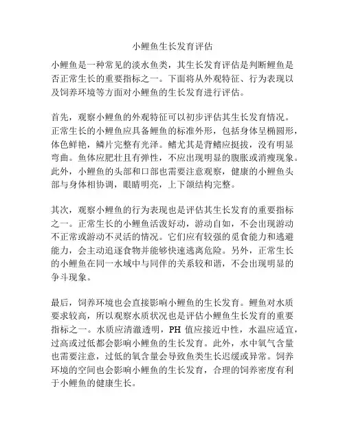 小鲤鱼生长发育评估