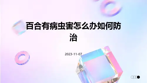 百合有病虫害怎么办如何防治