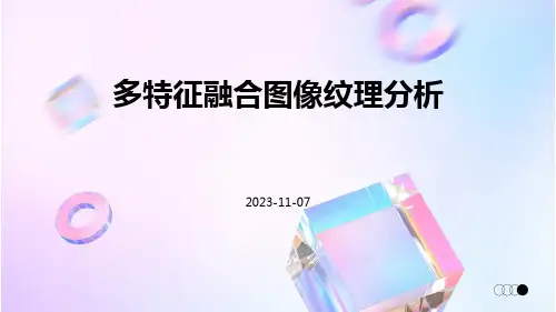 多特征融合图像纹理分析