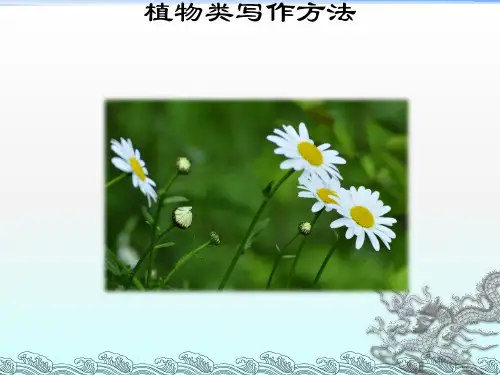 初中作文指导：植物类写作方法优秀课件