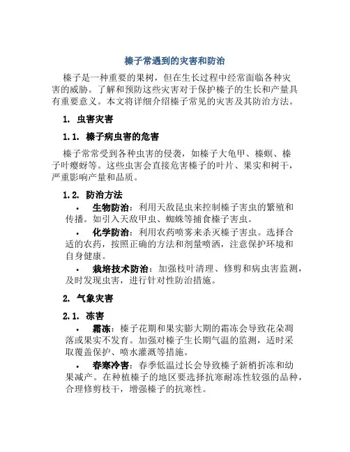 榛子常遇到灾害和防治