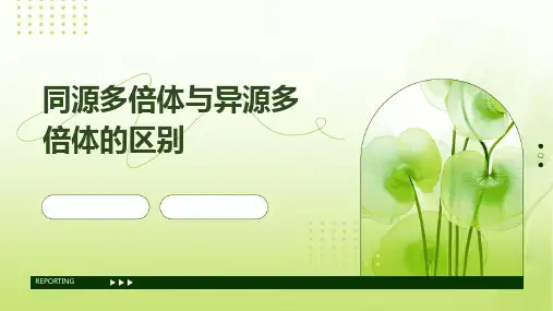 同源多倍体与异源多倍体的区别