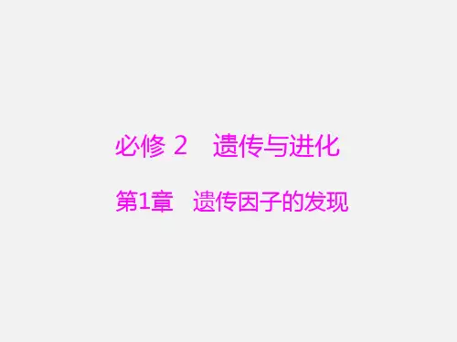 高考生物 一轮复习 第1章 第1节 孟德尔的豌豆杂交实验(一)(必修2)