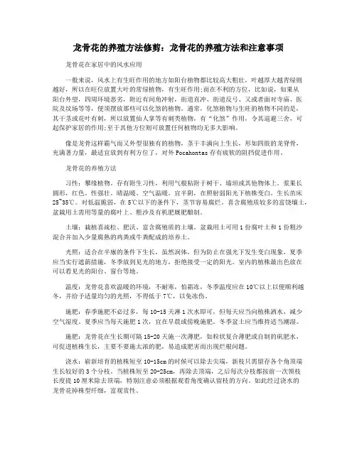 龙骨花的养殖方法修剪：龙骨花的养殖方法和注意事项
