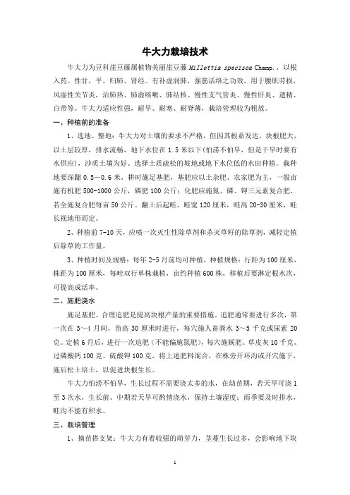 牛大力栽培技术