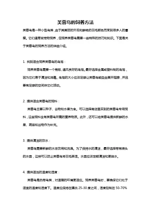 芙蓉鸟的饲养方法