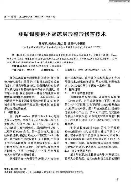 矮砧甜樱桃小冠疏层形整形修剪技术