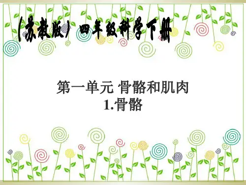 苏教版科学四年级下册第一单元《骨骼与肌肉》PPT课件