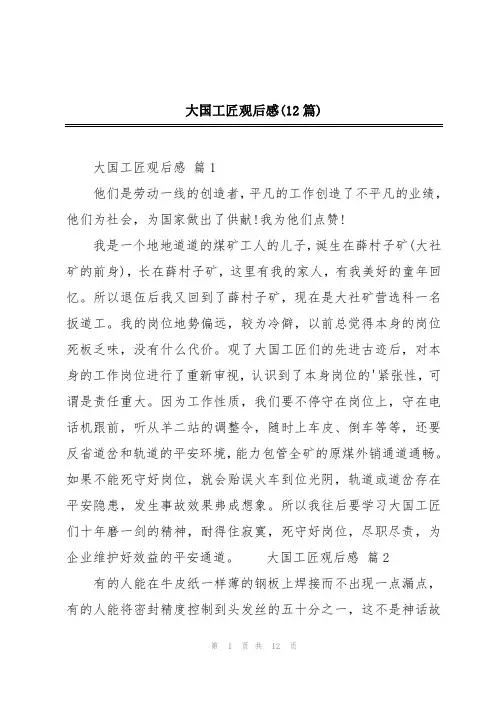 大国工匠观后感(12篇)