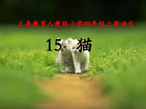 小学语文四年级上册课件-15 猫 人教新课标(共31张PPT)