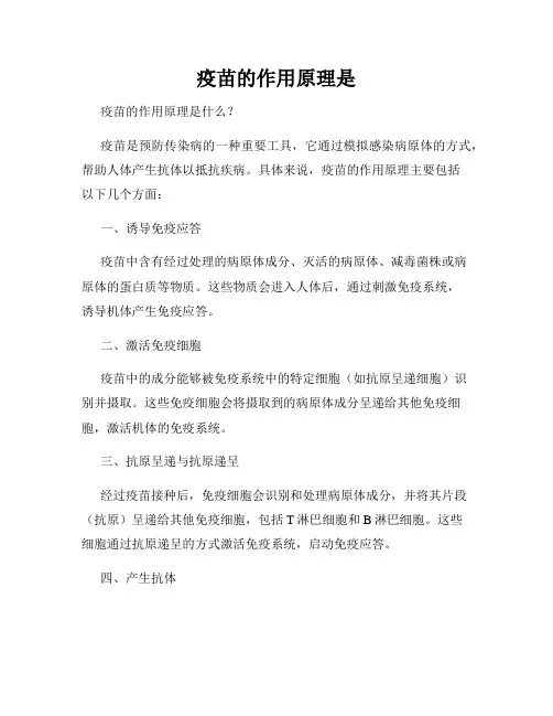 疫苗的作用原理是