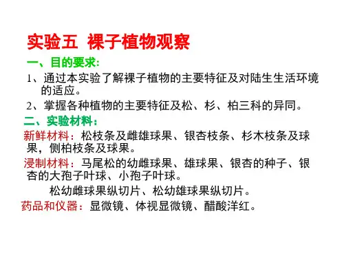 5  裸子植物观察
