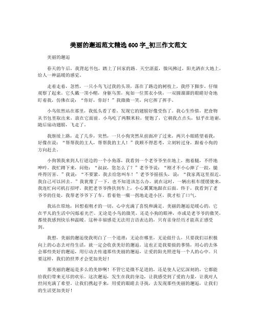 美丽的邂逅范文精选600字_初三作文范文 2
