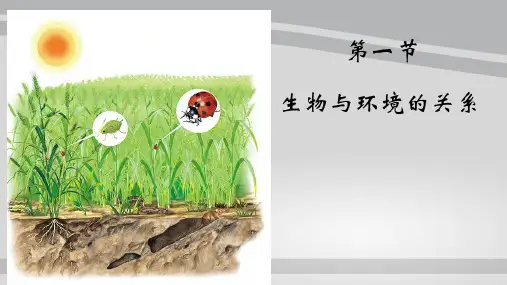人教版 七年级上册 第一单元 第二章 第一节生物和环境的关系(共26PPT)