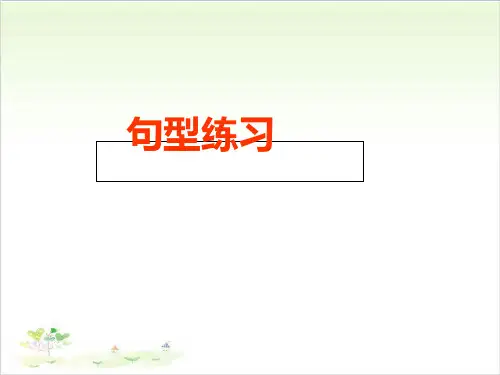 六年级下册英语- 句型练习 人教PEP版PPT精美版