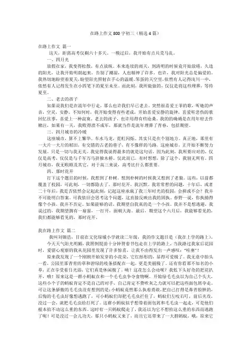 在路上作文800字初三(精选4篇)