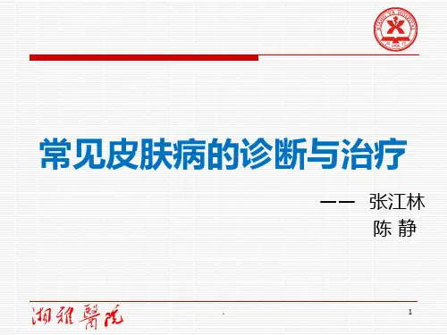 常见皮肤病的诊断与治疗PPT课件