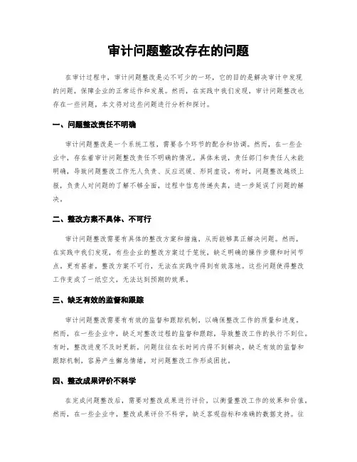 审计问题整改存在的问题