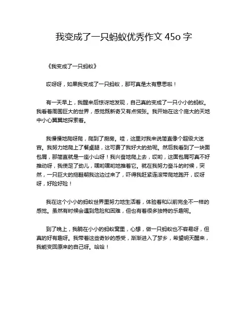 我变成了一只蚂蚁优秀作文