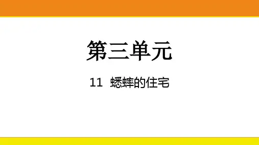 统编版语文四年级上册11蟋蟀的住宅  课件