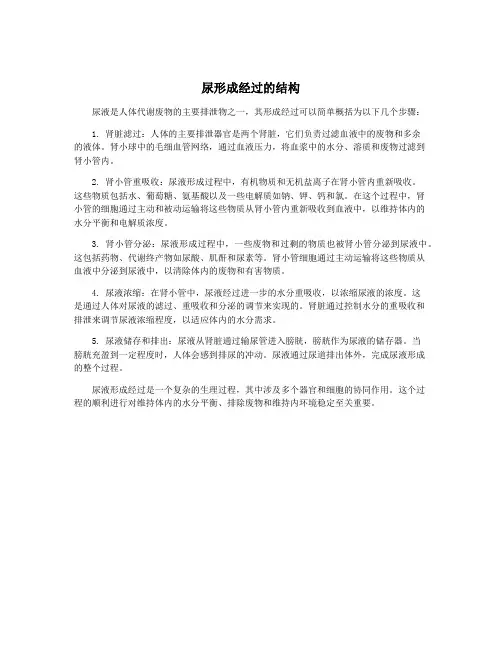 尿形成经过的结构