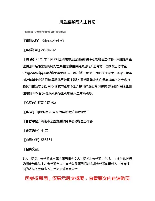 川金丝猴的人工育幼