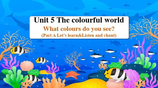 Unit 5 Part A Let's learn三年级英语上册(人教PEP版2024秋)