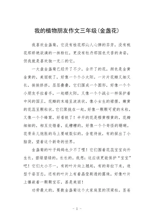 我的植物朋友作文三年级(金盏花)