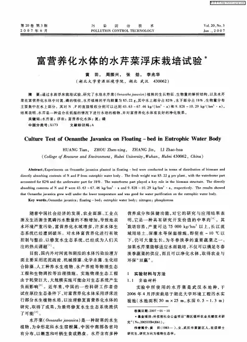 富营养化水体的水芹菜浮床栽培试验