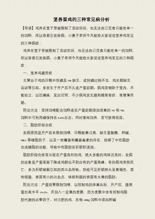 笼养蛋鸡的三种常见病分析