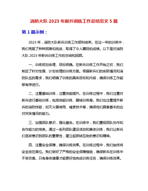 消防大队2023年新兵训练工作总结范文5篇
