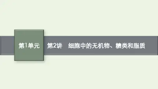 2022高考生物一轮复习第2讲细胞中的无机物糖类和脂质课件新人教版