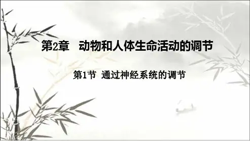 人教版生物必修三第二章第一节通过神经系统的调节ppt