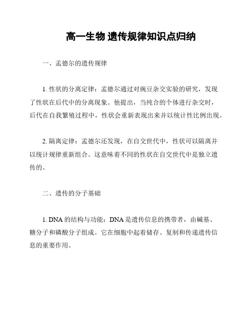 高一生物 遗传规律知识点归纳