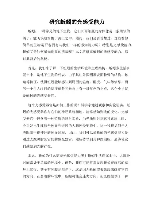 研究蚯蚓的光感受能力