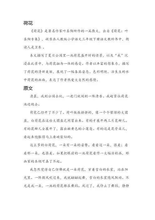 叶圣陶《荷花》原文