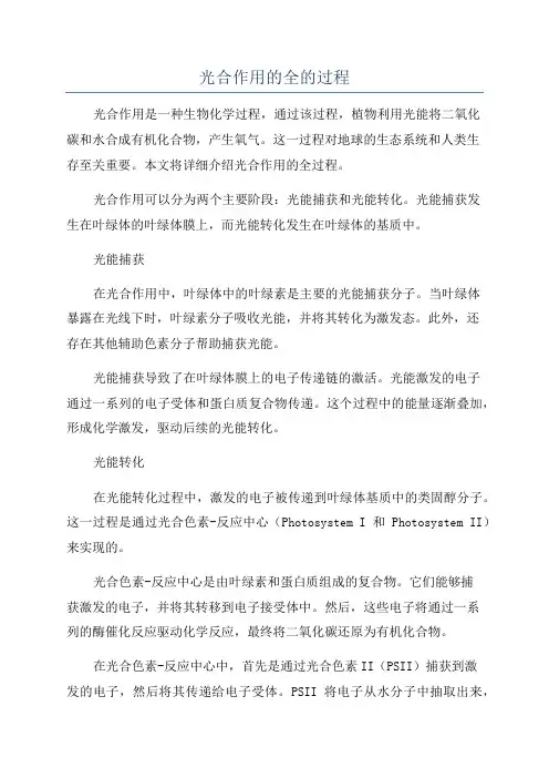 光合作用的全的过程