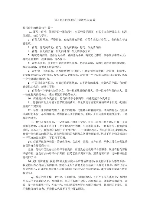 描写荷花的优美句子简短经典10篇