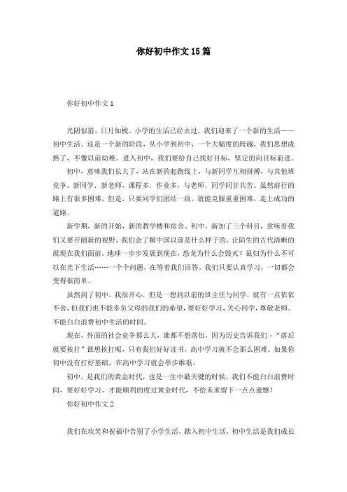 你好初中作文15篇_2