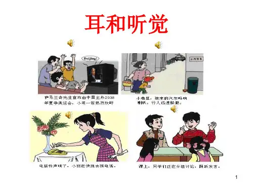 耳和听觉ppt课件