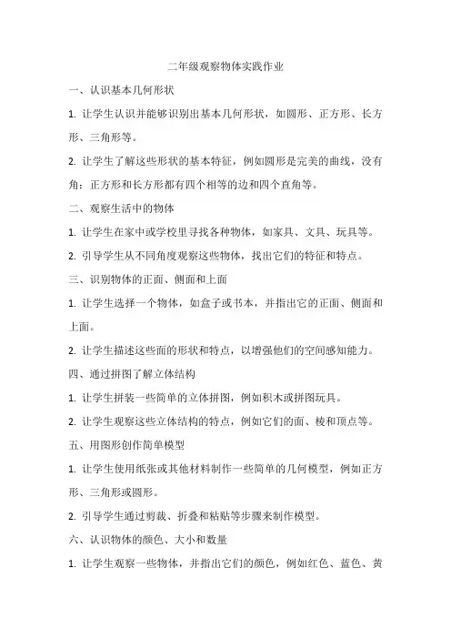 二年级观察物体实践作业