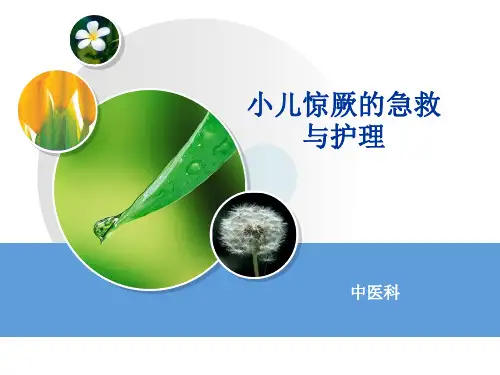 小儿惊厥的急救与护理PPT课件