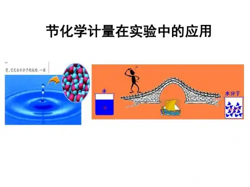 化学计量在实验中的应用PPT课件51
