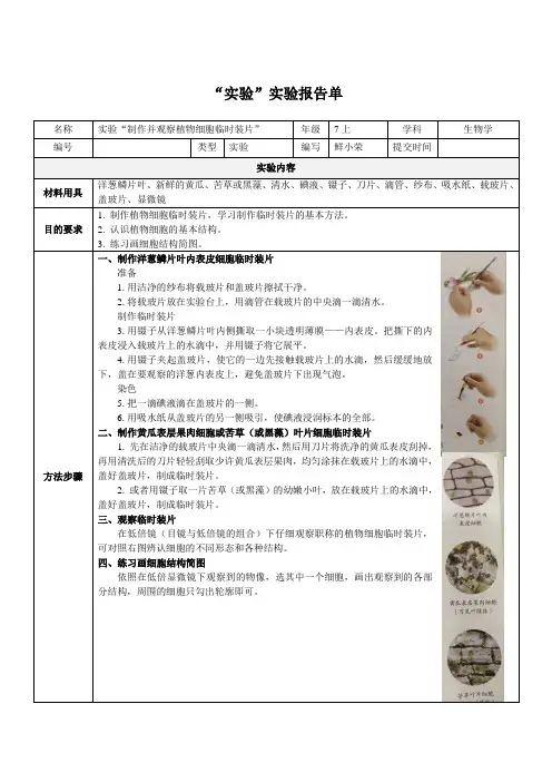 实验“制作并观察植物细胞临时装片”实验报告-何武