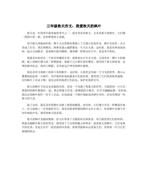 三年级秋天作文：我爱秋天的枫叶