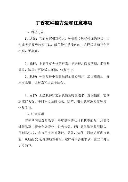 丁香花种植方法和注意事项