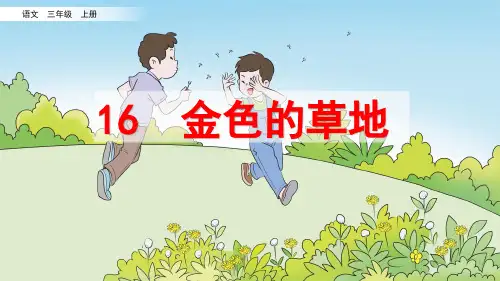 16《金色的草地》(课件)(共24张PPT)